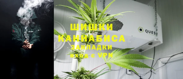 Альфа ПВП Богородск