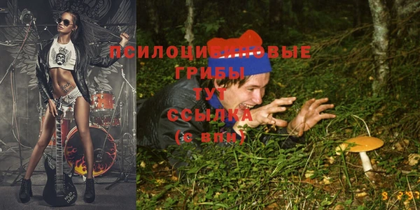 дмт Белоозёрский