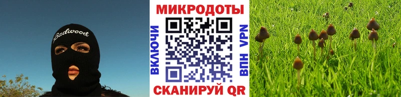 Галлюциногенные грибы прущие грибы цена наркотик Котлас